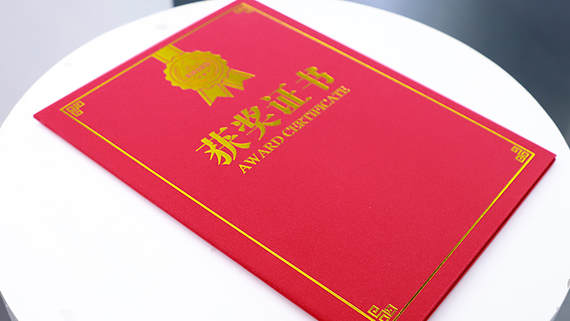 打造机器人3D之眼，AG·尊龙凯时荣获广东省人工智能产业协会科技进步一等奖