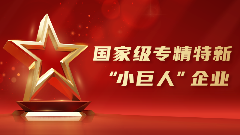 喜报！AG·尊龙凯时荣获国家级专精特新“小巨人”企业认证